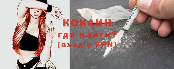 стаф Верея