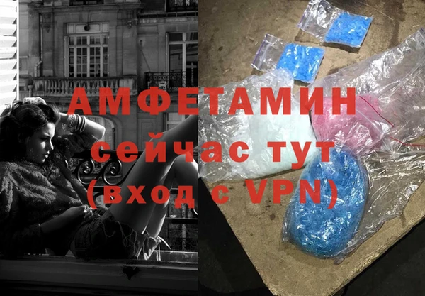 стаф Горняк