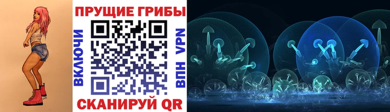 купить   Заводоуковск  Галлюциногенные грибы Psilocybe 